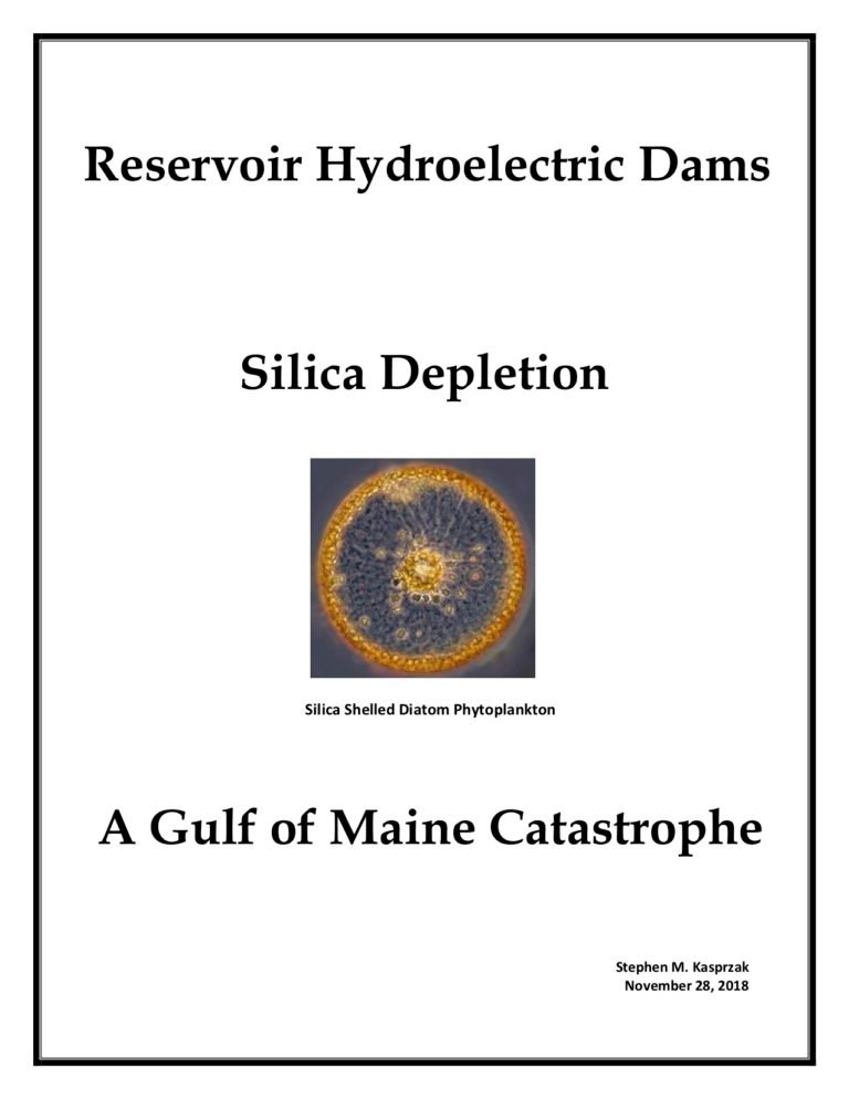 Read more about the article A Gulf of Maine Catastrophe: by Stephen Kasprzak