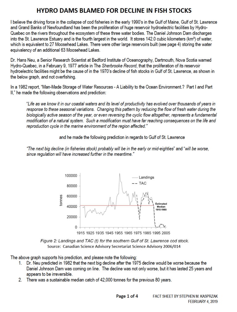 Read more about the article HYDRO DAMS BLAMED FOR DECLINE IN FISH STOCKS