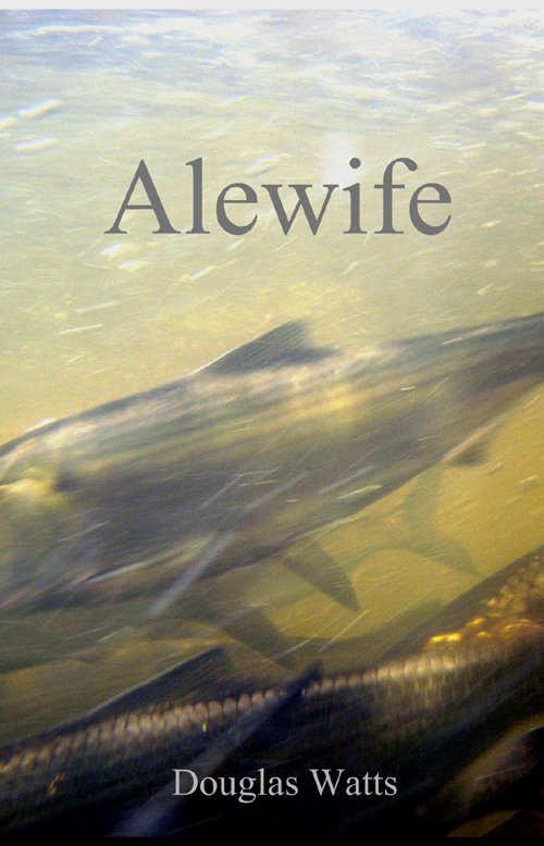 Read more about the article FOSL Research Fuels New Book On Maine’s Alewives